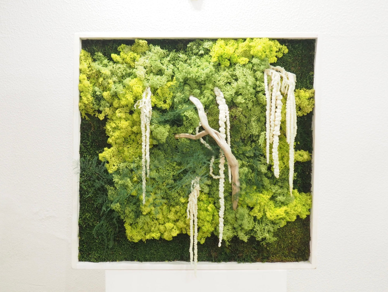 Quadro Vegetale Stabilizzato Jungle Moss - Grafica NaturaleQuadro stabilizzato