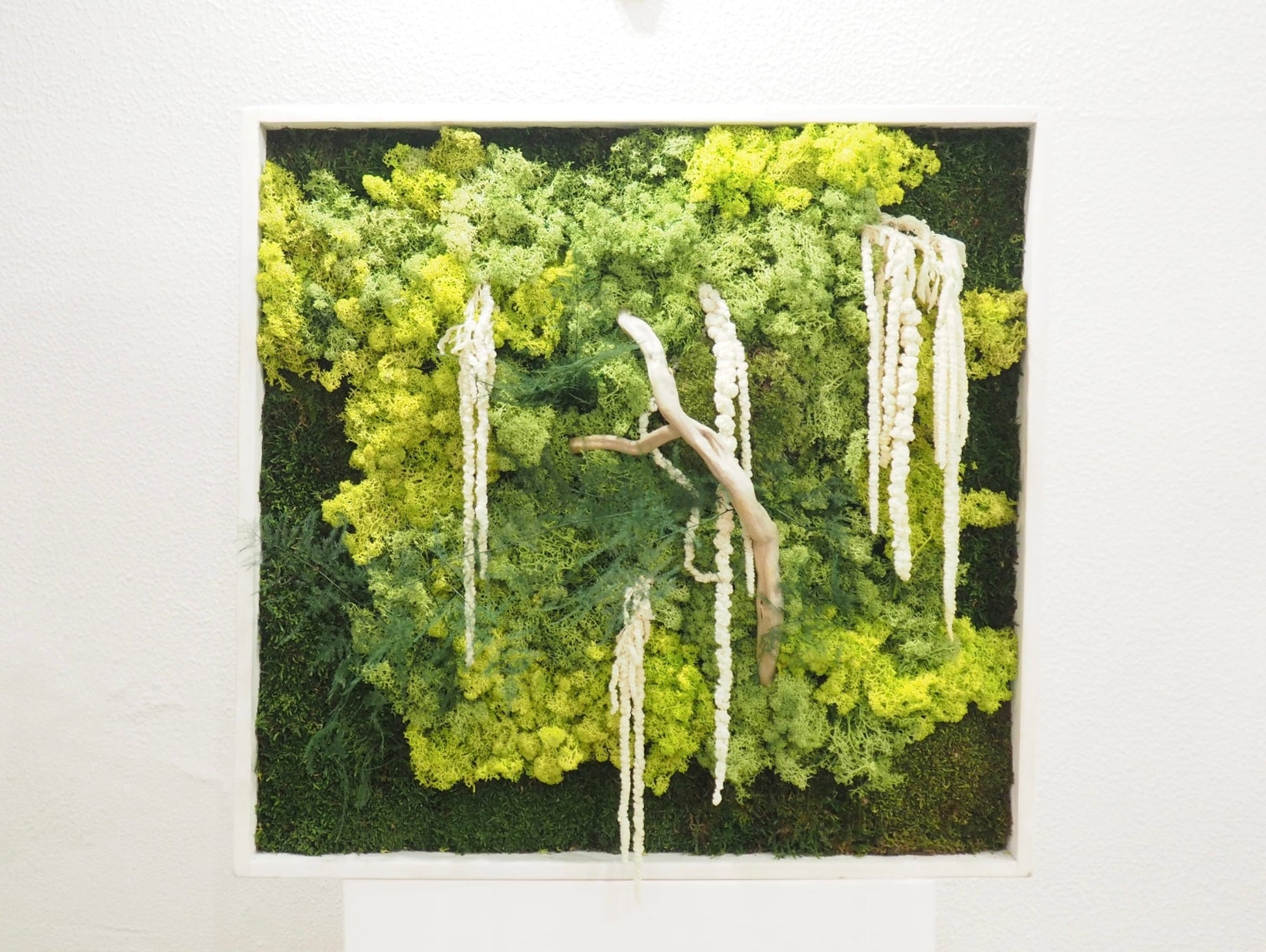 Quadro Vegetale Stabilizzato Jungle Moss - Grafica NaturaleQuadro stabilizzato