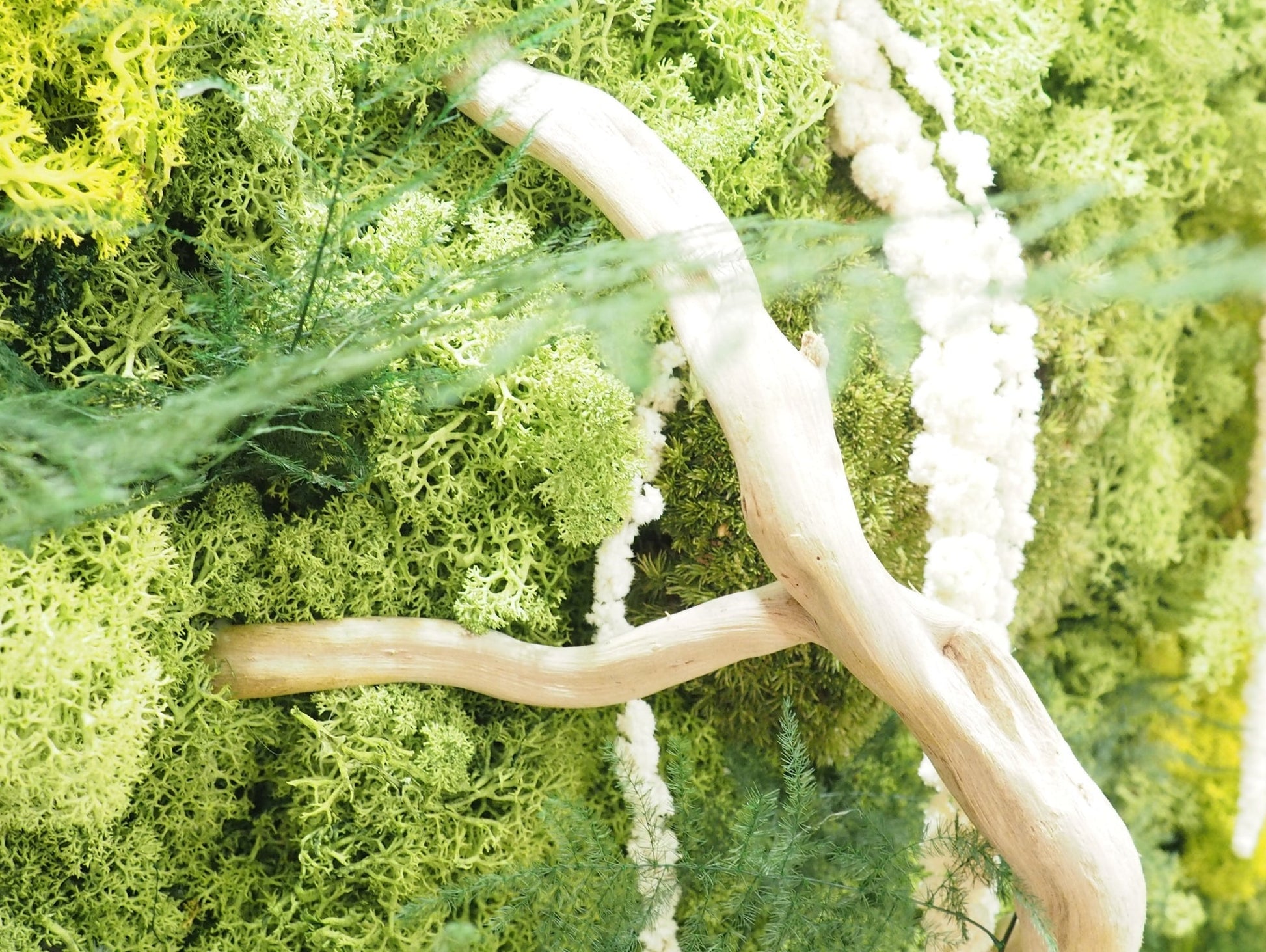 Quadro Vegetale Stabilizzato Jungle Moss - Grafica NaturaleQuadro stabilizzato