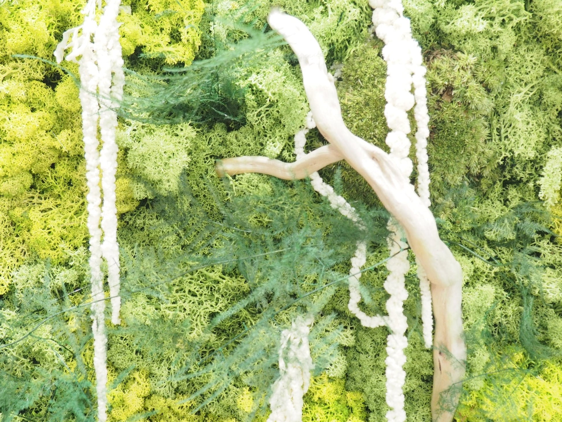 Quadro Vegetale Stabilizzato Jungle Moss - Grafica NaturaleQuadro stabilizzato