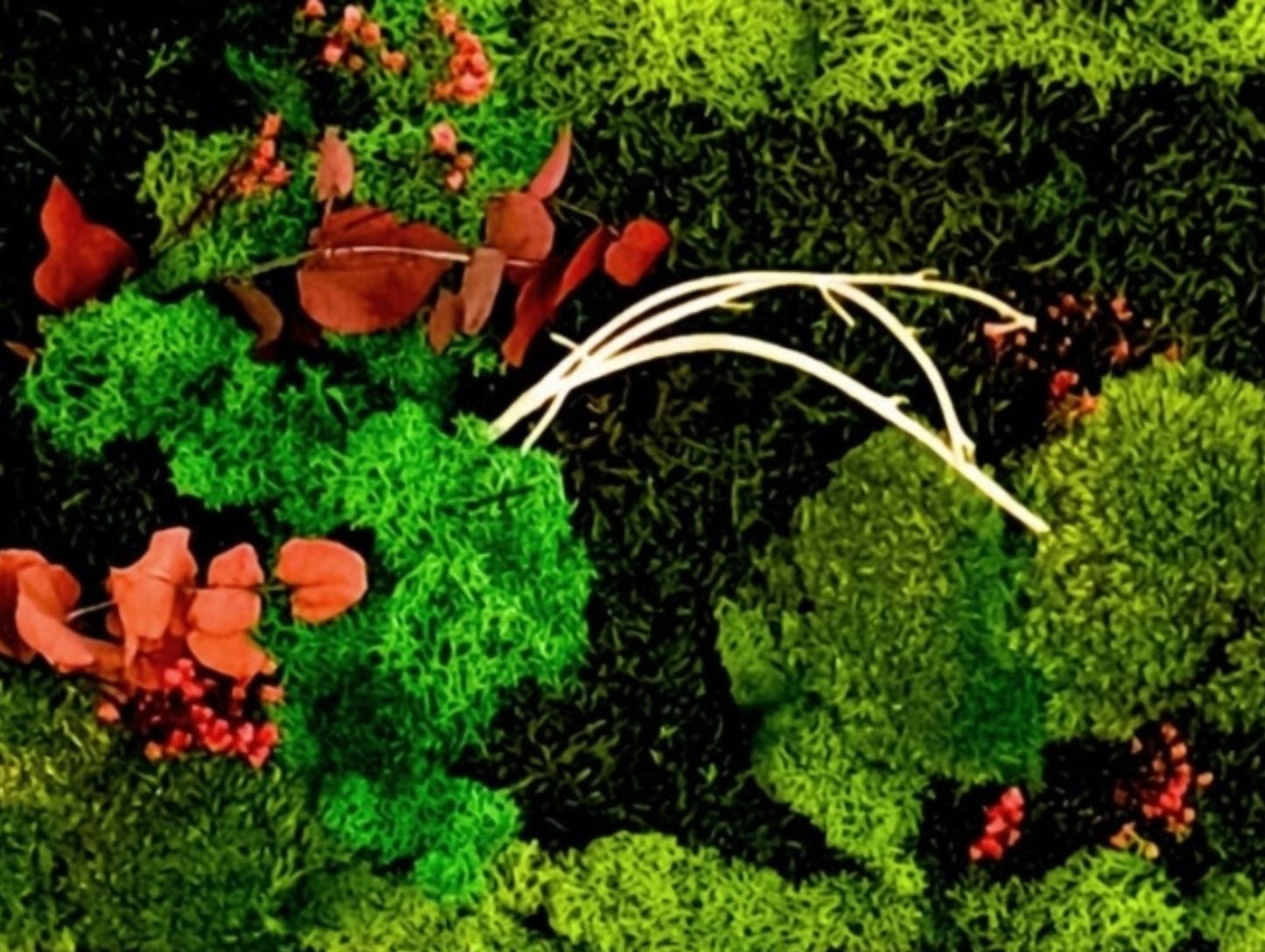 Quadro Vegetale Stabilizzato Red Eucalipto - Grafica NaturaleQuadro stabilizzato