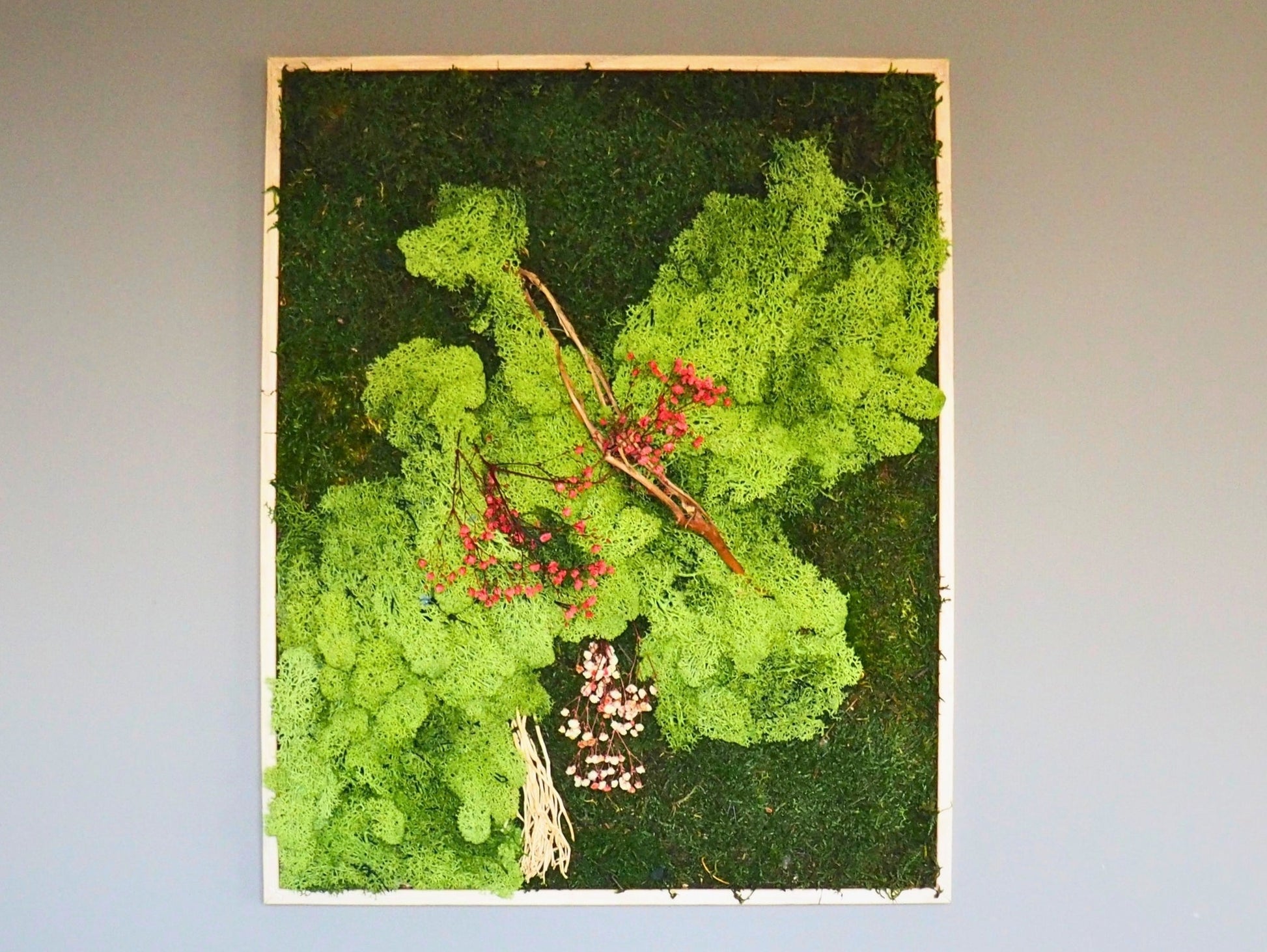 Quadro Vegetale Stabilizzato Red Gypsophila - Grafica NaturaleQuadro stabilizzato