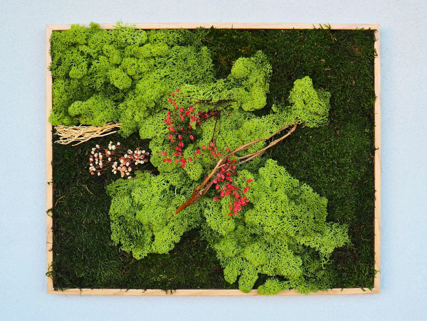 Quadro Vegetale Stabilizzato Red Gypsophila - Grafica NaturaleQuadro stabilizzato
