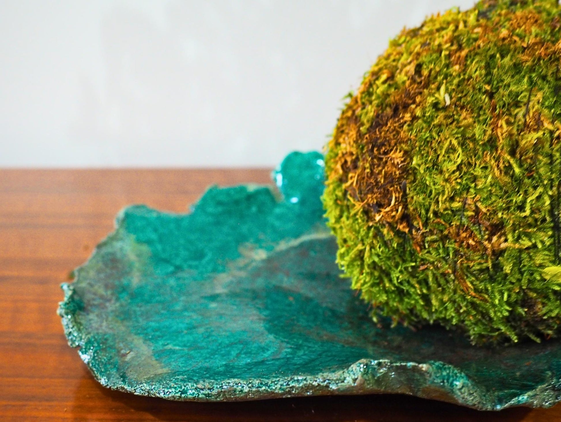 Ulivo Bonsai Kokedama - Grafica NaturaleKokedama